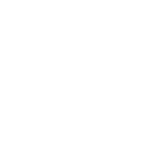 Hydra Interactive Entertainment