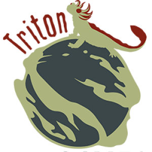 Triton Games