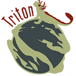 Triton Games